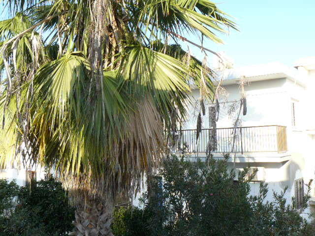 Katalimata Court Apartment Ayia Napa Ngoại thất bức ảnh